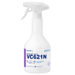 Voigt Gastro-Sept Plus N - VC621N - Szybka dezynfekcja